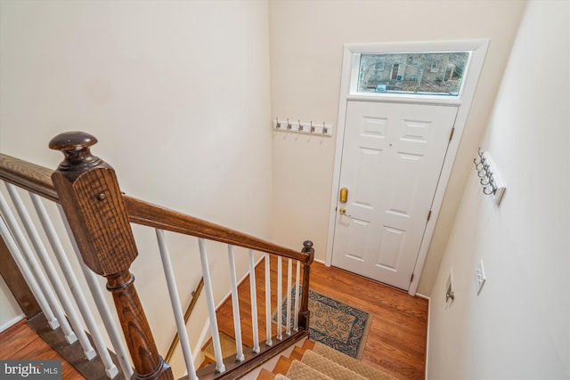 entryway with wood-type flooring