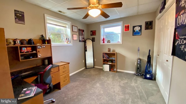 carpeted home office featuring a wealth of natural light, ceiling fan, and a paneled ceiling