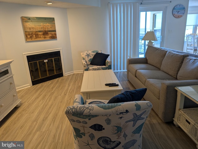 living room featuring light hardwood / wood-style flooring