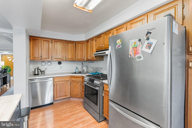 kitchen featuring sink, stainless steel appliances, and light wood-type flooring