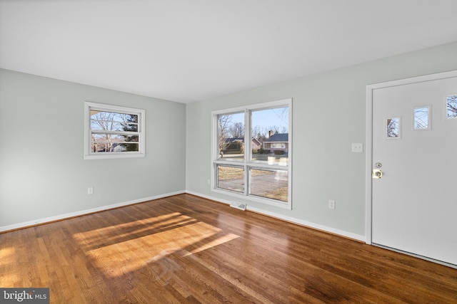 entryway featuring wood-type flooring