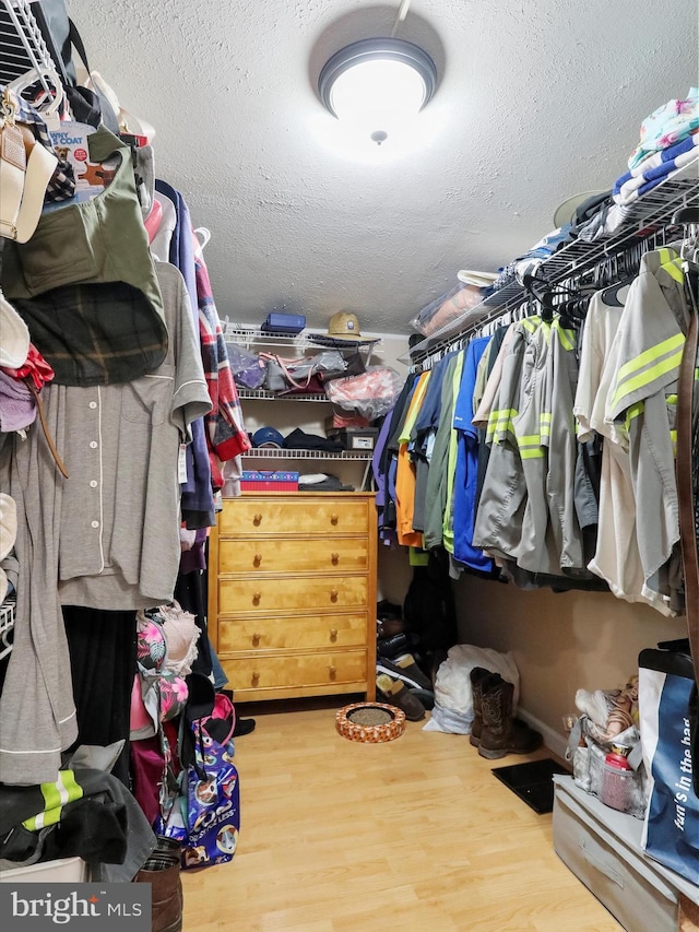 spacious closet featuring hardwood / wood-style flooring