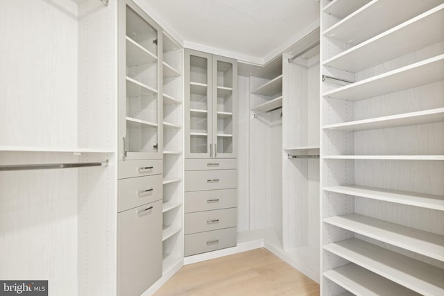 spacious closet with light hardwood / wood-style flooring