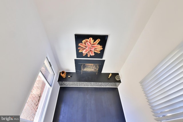 interior space with wood-type flooring