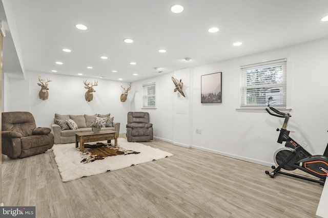 living room with light wood-type flooring