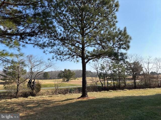 view of yard featuring a rural view