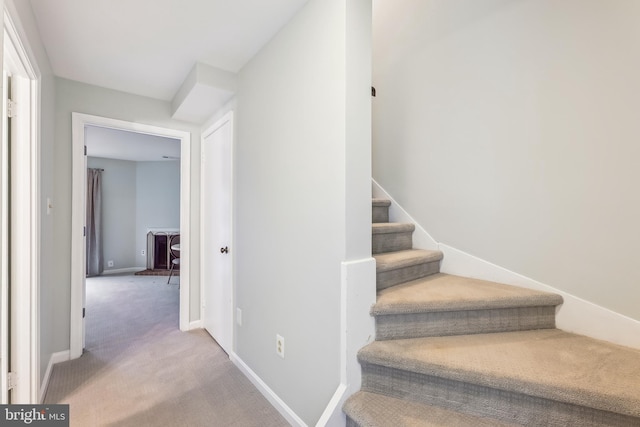 staircase with carpet floors