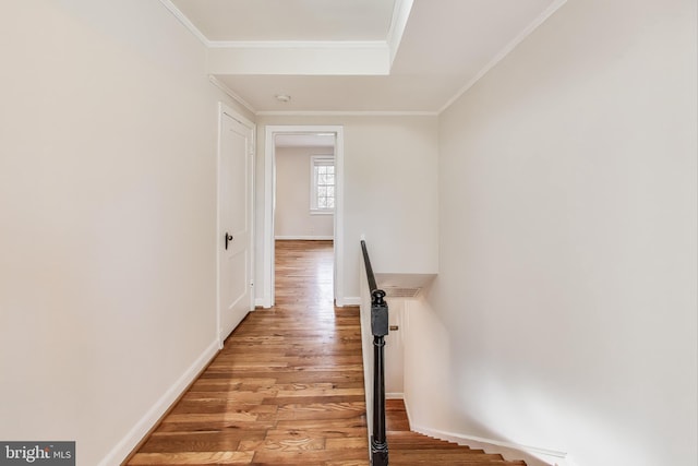 hallway featuring crown molding and light wood-type flooring