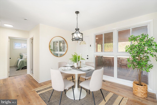 dining room with light hardwood / wood-style floors