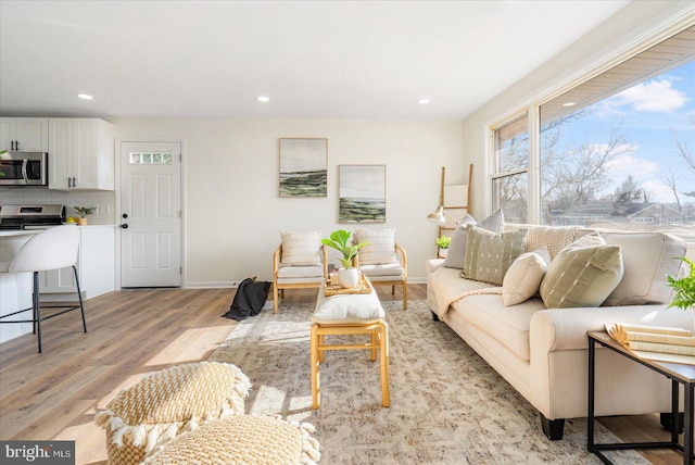 living room featuring light hardwood / wood-style floors