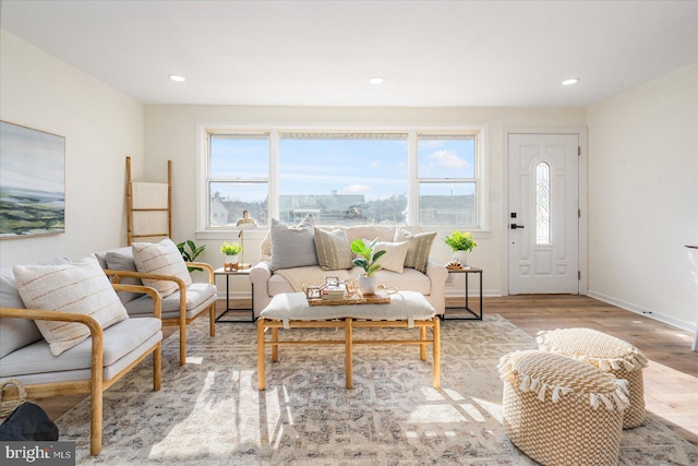 living room featuring light hardwood / wood-style flooring