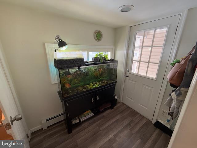 entryway featuring dark hardwood / wood-style floors and baseboard heating