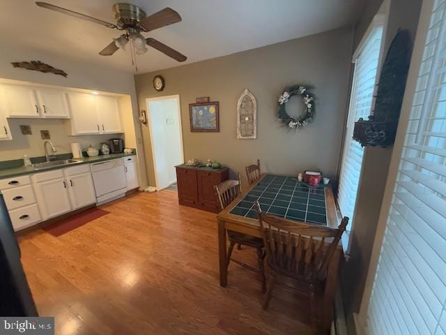 dining space featuring ceiling fan, sink, and light wood-type flooring