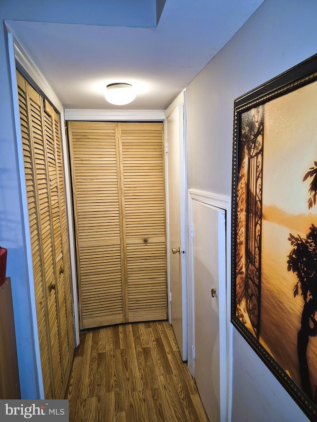 hall featuring dark hardwood / wood-style flooring