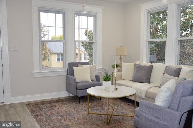 living area featuring baseboards and wood finished floors