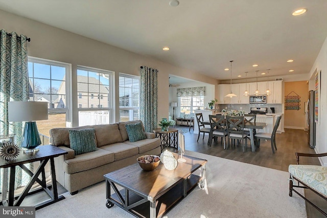 living room with hardwood / wood-style floors