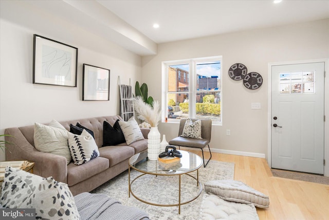 living room featuring light hardwood / wood-style flooring