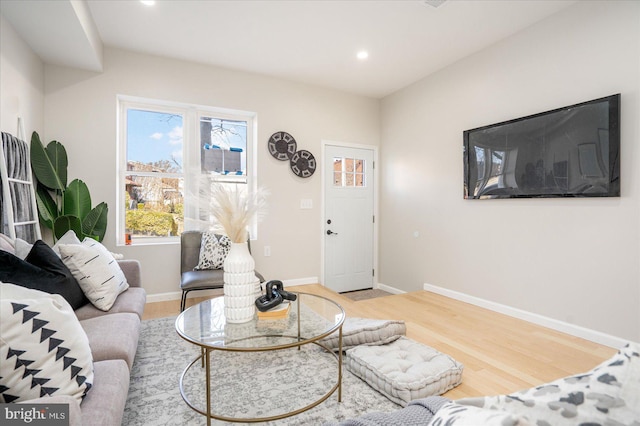 living room with wood-type flooring