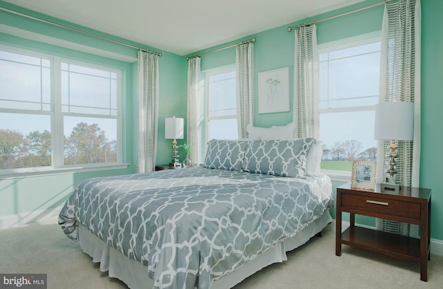 5292 Newport Cir, White Plains, MD 20695 - bedroom featuring multiple windows and light colored carpet
