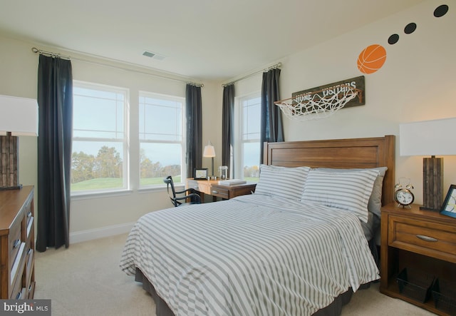 5292 Newport Cir, White Plains, MD 20695 - view of carpeted bedroom