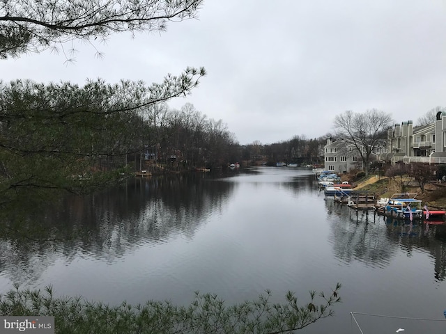 view of water feature