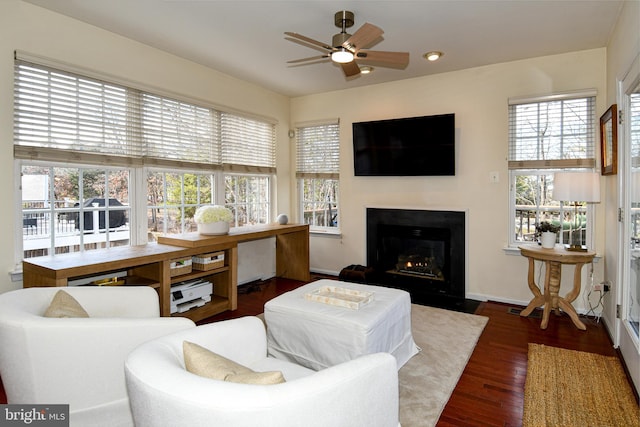 living room with ceiling fan and dark hardwood / wood-style flooring