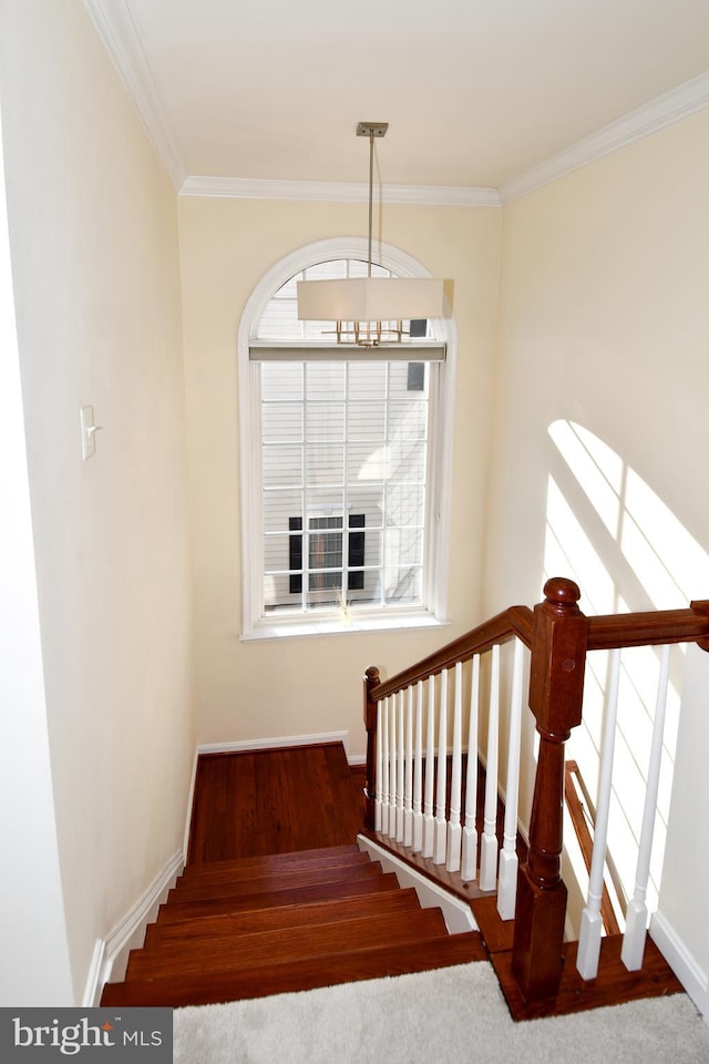 stairway with ornamental molding and hardwood / wood-style floors