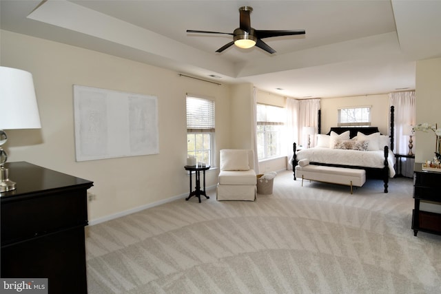 carpeted bedroom with a raised ceiling