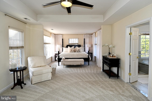 bedroom featuring light carpet and a raised ceiling