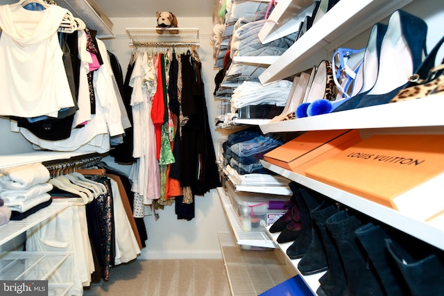 walk in closet with carpet floors