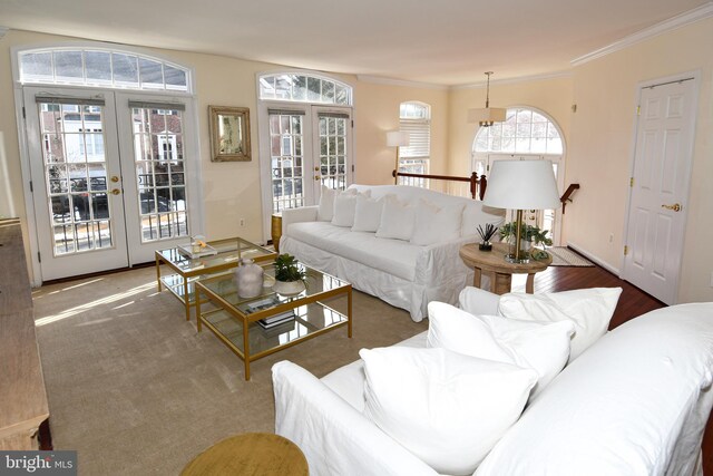 carpeted living room featuring french doors and ornamental molding