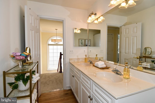 bathroom with wood-type flooring and vanity