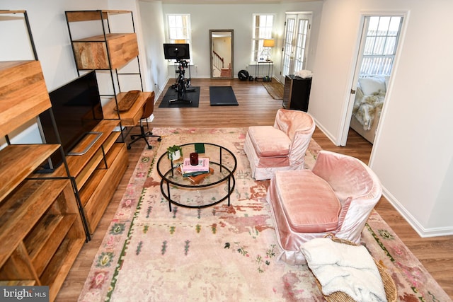 living room with hardwood / wood-style floors and a wealth of natural light