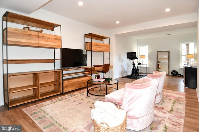 living room featuring hardwood / wood-style floors