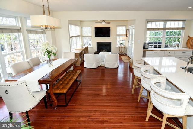 dining space featuring sink, dark hardwood / wood-style floors, and ceiling fan