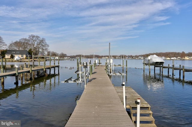 dock area with a water view