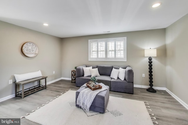 living room featuring hardwood / wood-style flooring