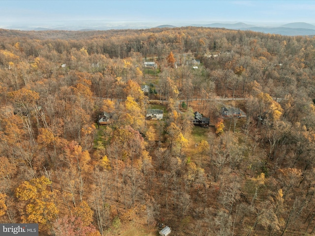 bird's eye view with a mountain view