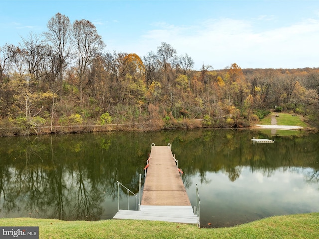 view of dock with a water view