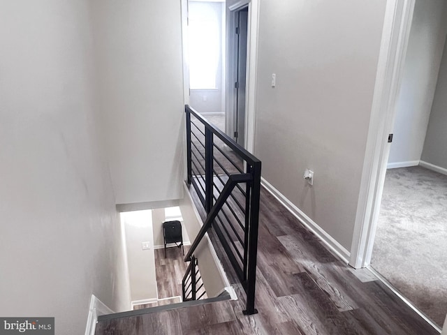 staircase featuring wood-type flooring