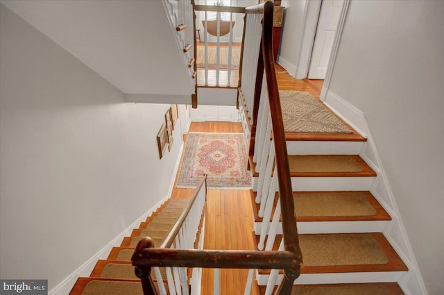 staircase with hardwood / wood-style flooring