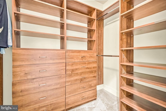 spacious closet with light carpet