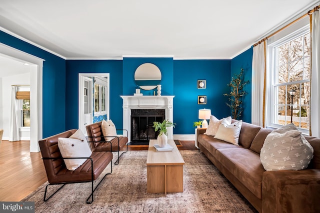 living room with a fireplace, wood finished floors, and baseboards