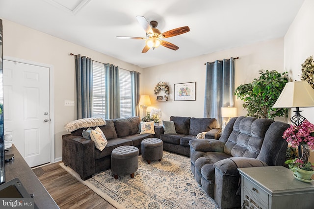 living room featuring ceiling fan and dark hardwood / wood-style floors