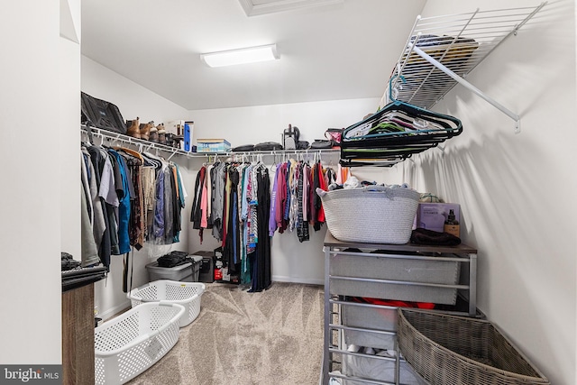 spacious closet featuring carpet flooring