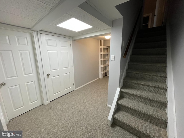 staircase featuring carpet flooring