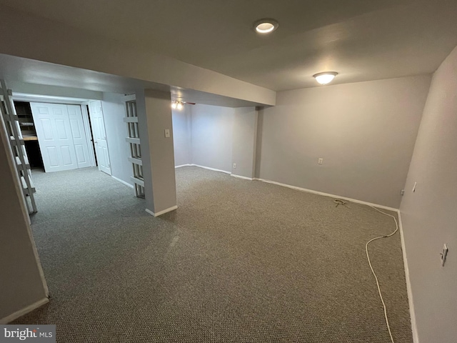 basement featuring carpet floors