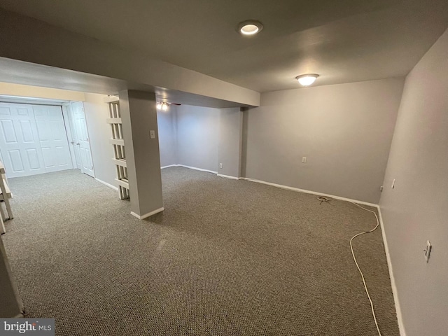 basement featuring carpet floors