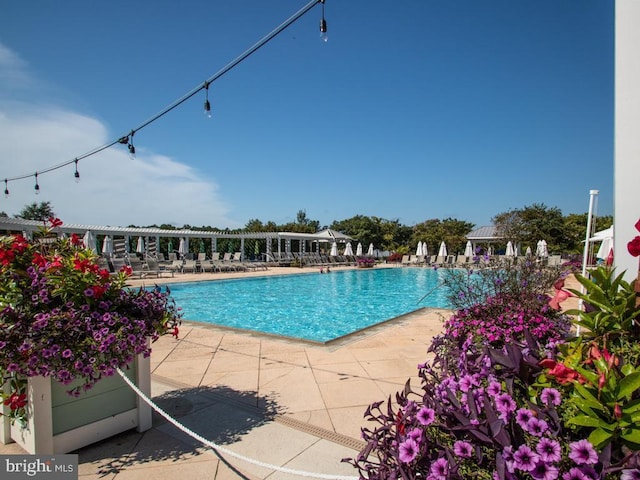 view of swimming pool with a gazebo and a patio