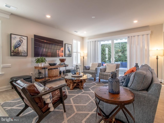 living room with wood-type flooring